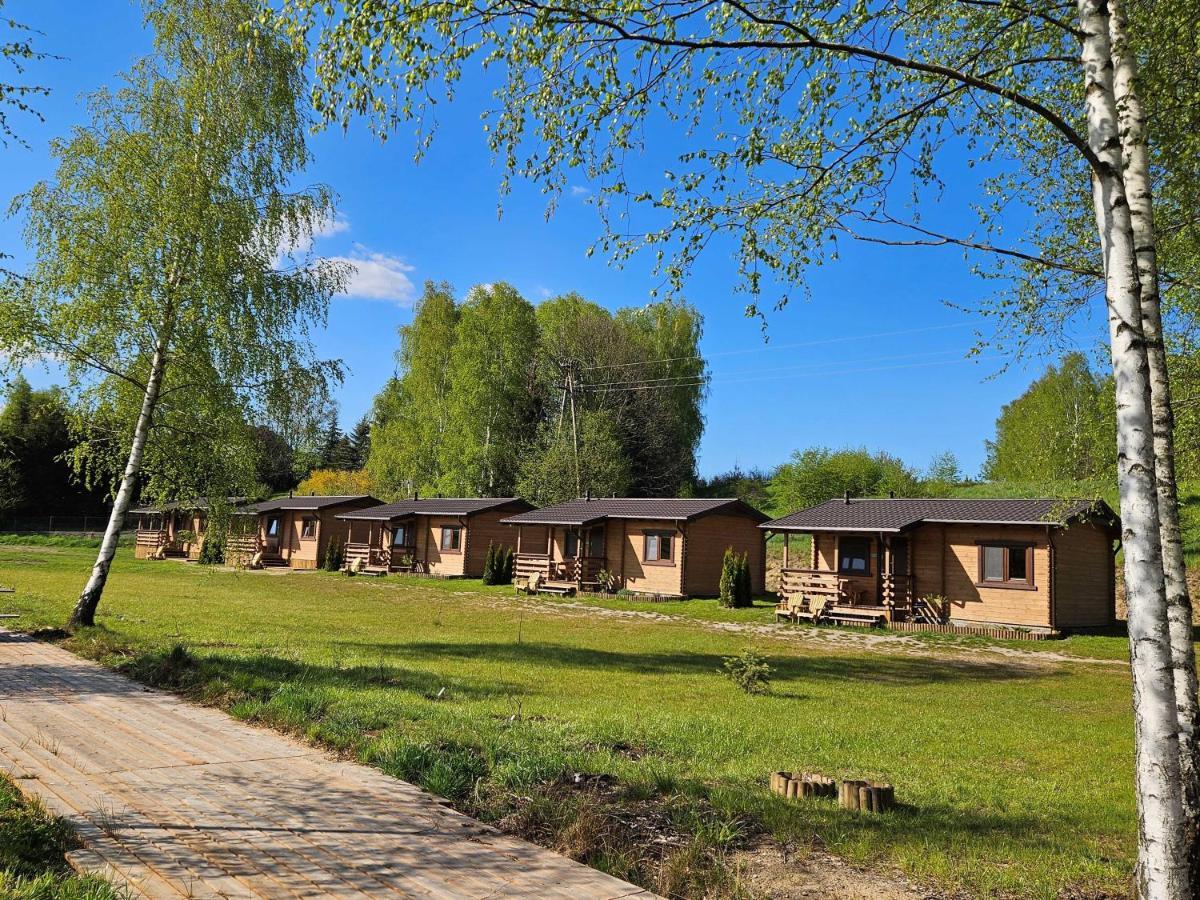 Pokoje I Domki Przy Lesniczowce Wiele Exterior foto